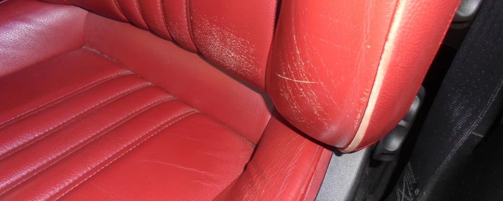 DSC01082.thumb.JPG.4e200c19086e0d7facb23e3f42800454